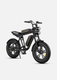 M20 Motorcycle-styled Electric Bike