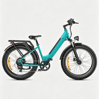 ENGWE E26 Elektrofahrrad