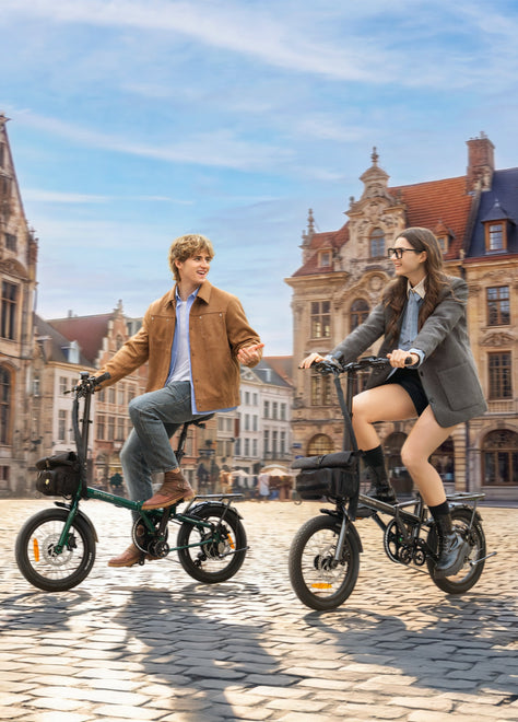 ZIP Folding Electric Bike